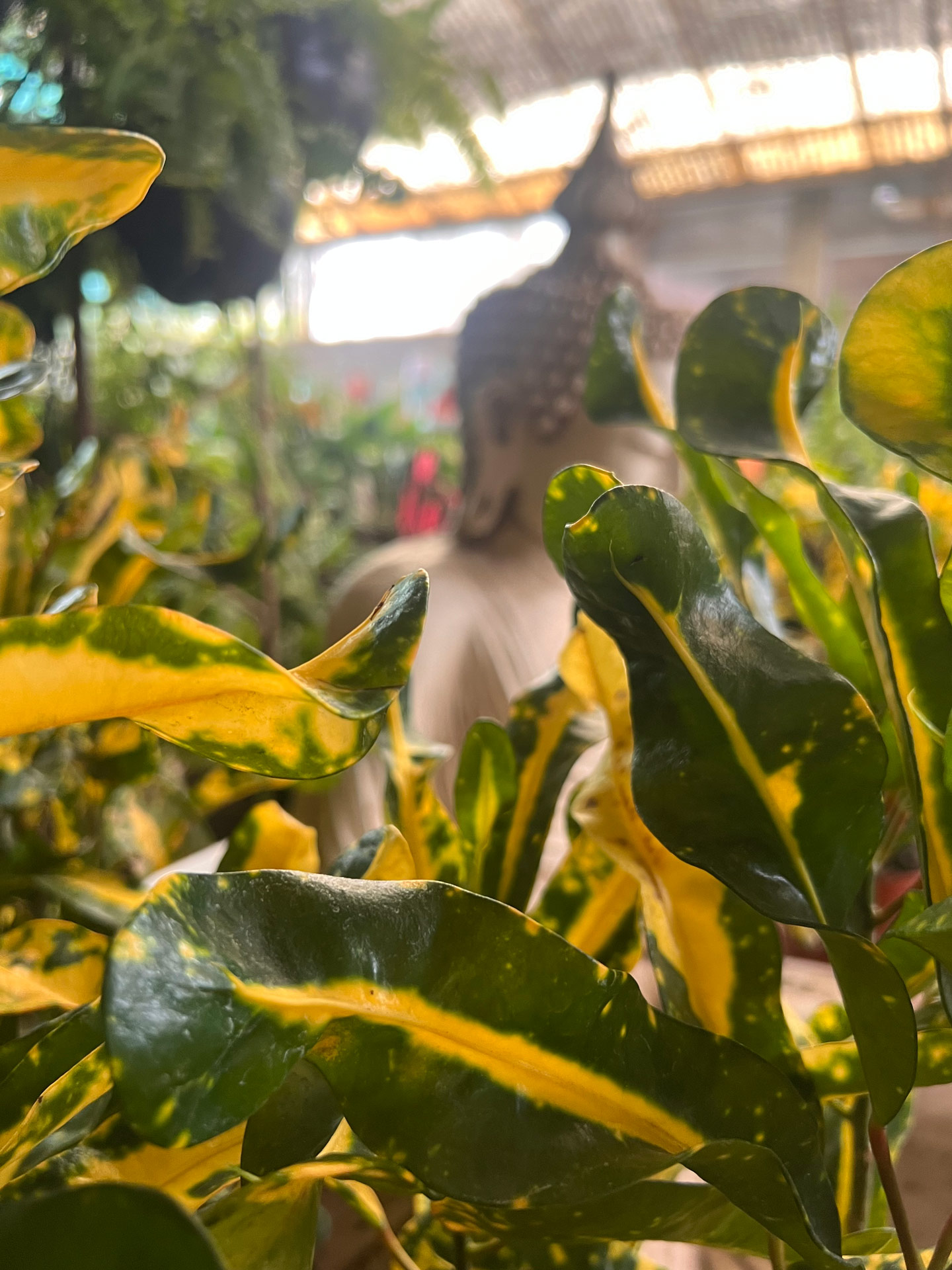 Jardín El Ceibo